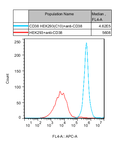 HEK293 Human CD38 Cell