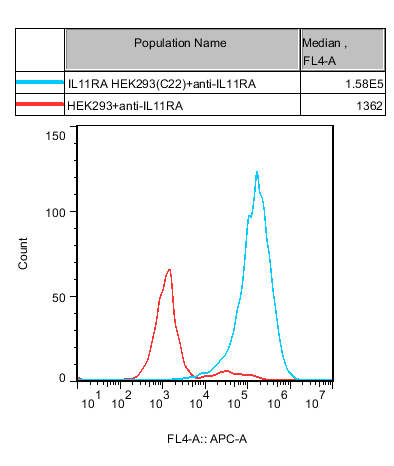 HEK293 Human IL11RA Cell