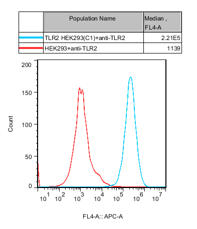 HEK293 Human TLR2 Cell