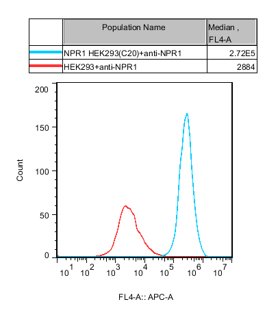 HEK293 Human NPR1 Cell