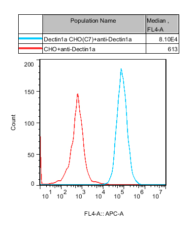 CHO-K1 Human Dectin1a Cell