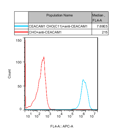 CHO-K1 Human CEACAM1 Cell