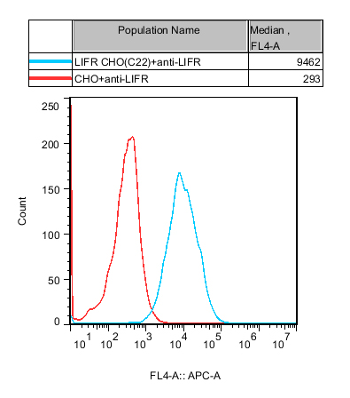 CHO-K1 Human LIFR Cell 