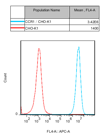 Recombinant CCR1/CHO constitutively expressing CCR1