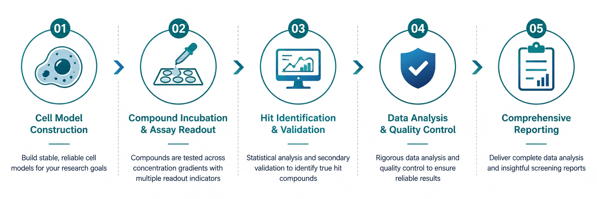 ell-based Assay Workflow for Preclinical Drug Discovery