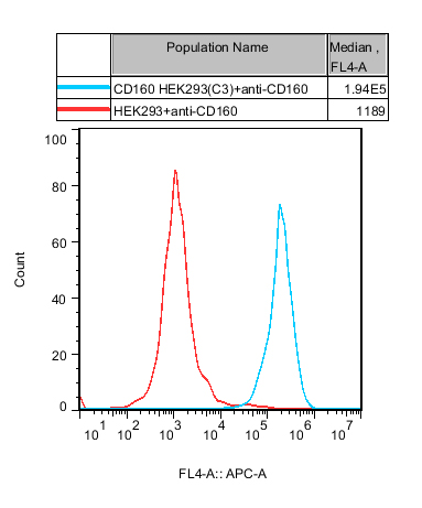 HEK293 Human CD160 Cell