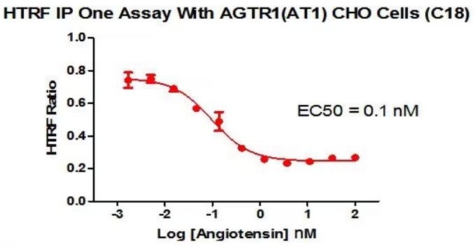 CHO-K1 Human AGTR1 Cell Line