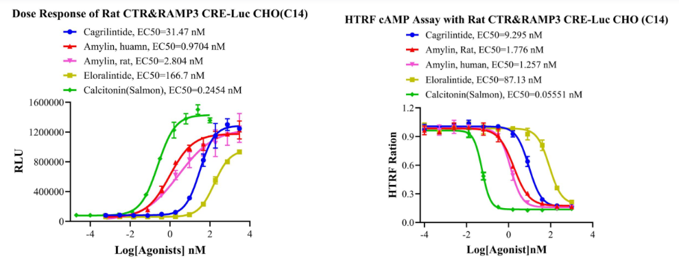 Dose-response curves of multiple agonists in Rat CTR&RAMP3 CRE-Luc CHO-K1 (C14) stable cell line