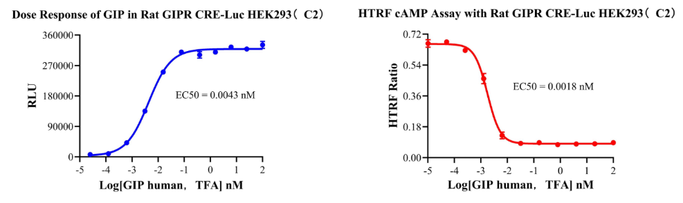 Dose-response curves of GIP in Rat GIPR CRE-Luc HEK293 (C2) stable cell line