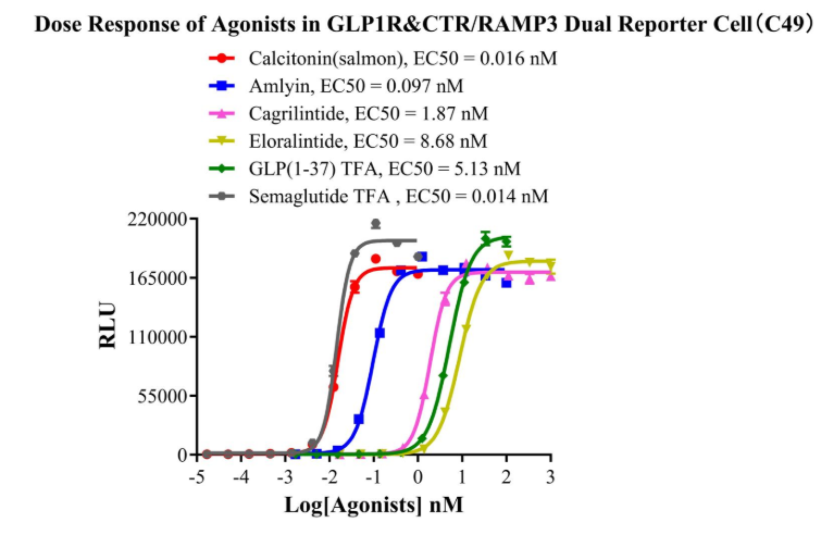 Dose Response of Agonists in GLP1R&CTR/RAMP3 Dual Reporter Cell(C49)