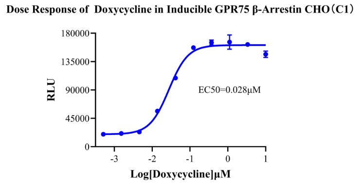 Dose Response of Doxycycline in Inducible GPR75 β-Arrestin CHO-K1(C1)