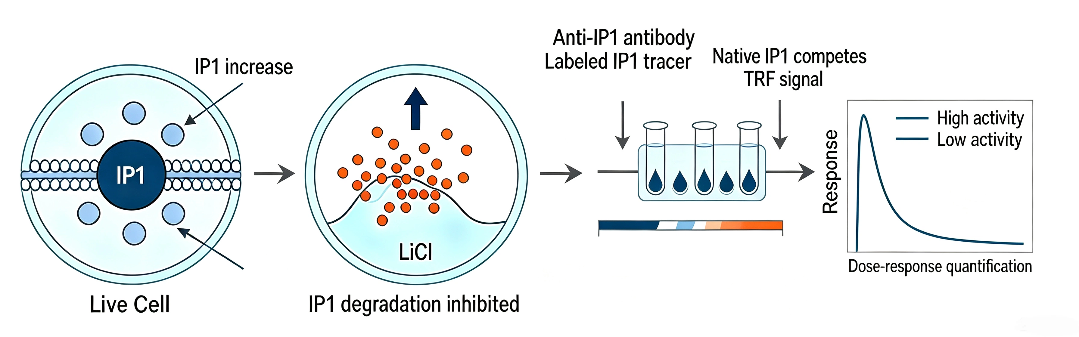 IP1检测图.png IP1 time-resolved fluorescence assay