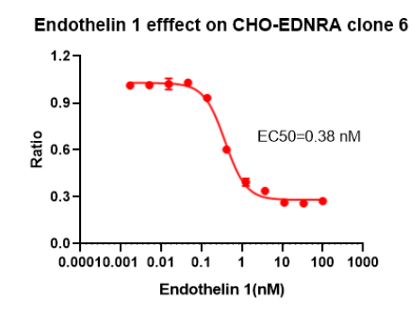 Dose-response curve of Endothelin 1 on CHO-K1-EDNRA clone 6, HTRF IP-One assay, EC50 0.38 nM, EDNRA GPCR functional validation