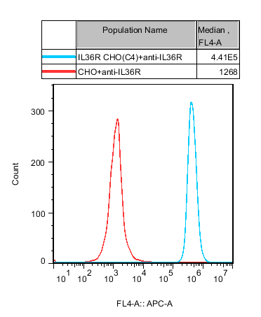 CHO-K1 Human IL36R Cell 