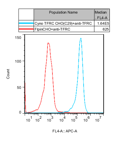 CHO-K1 Cynomolgus TFRC Cell
