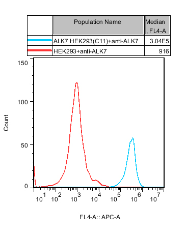 HEK293 Human ALK7 Cell