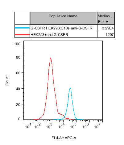 HEK293 Human G-CSFR Cell