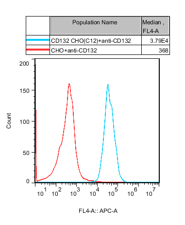 CHO-K1 Human CD132 Cell
